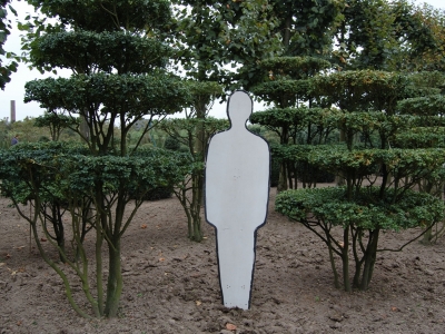 ... nog indringender is de uitstraling in contrast met hedendaagse architectuur, ze breken het witte muurvlak als geen ander ! Buxus sempervirens 'Rotundifolia'