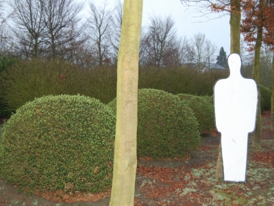 Ligustrum  vulgare 'Lodense'